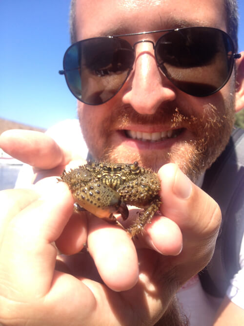 crab